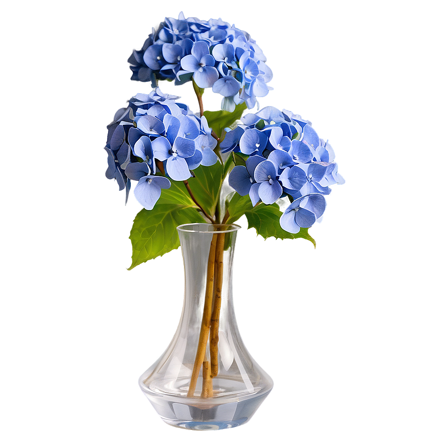 Hydrangea In Vase Png 18