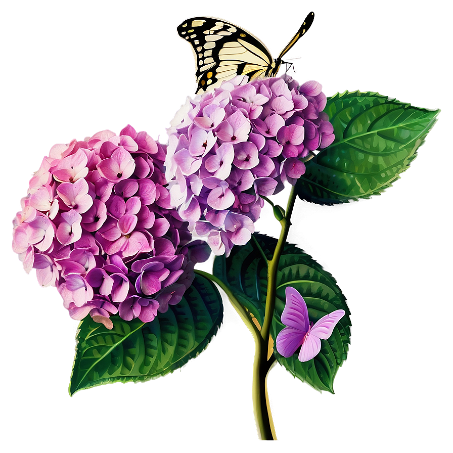 Hydrangea With Butterfly Png 97
