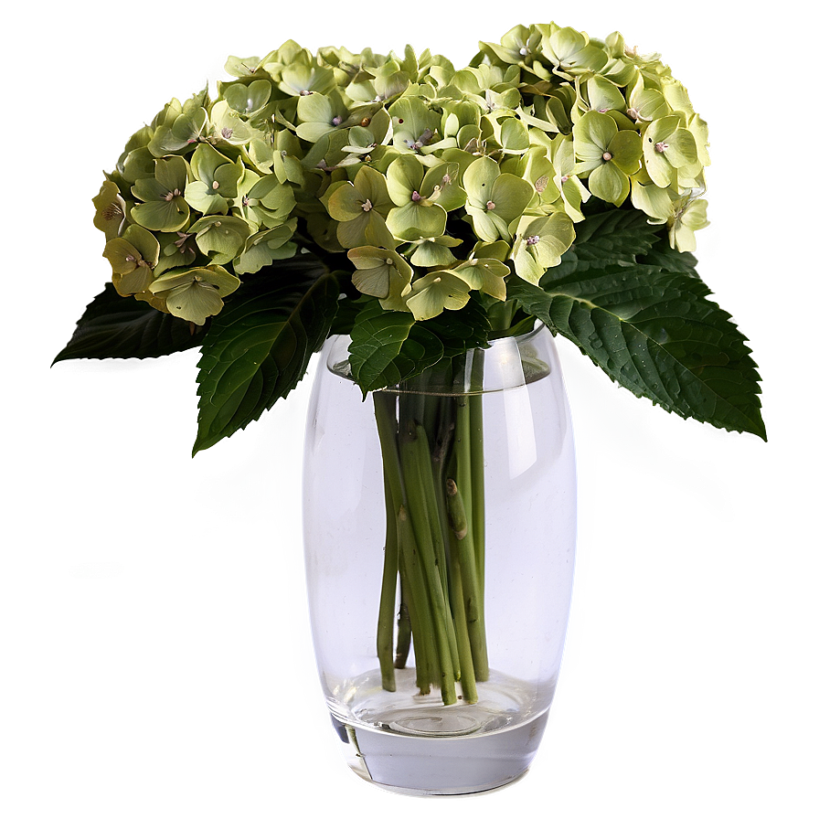 Hydrangeas In Vase Png 12