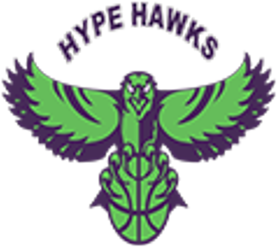 Hype Hawks Basketball Logo