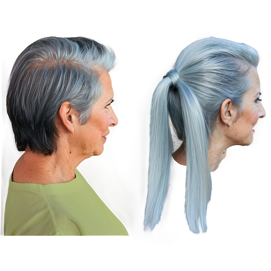 Iconic Grey Hair Looks Png 34