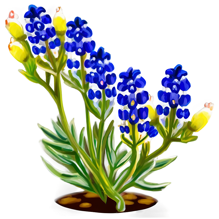 Iconic Texas Bluebonnet Png 06272024