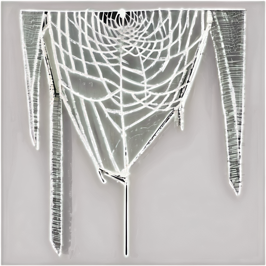 Icy Spider Web Art