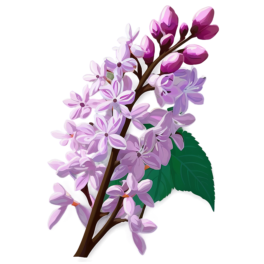 Idaho State Flower Syringa Png Psv12