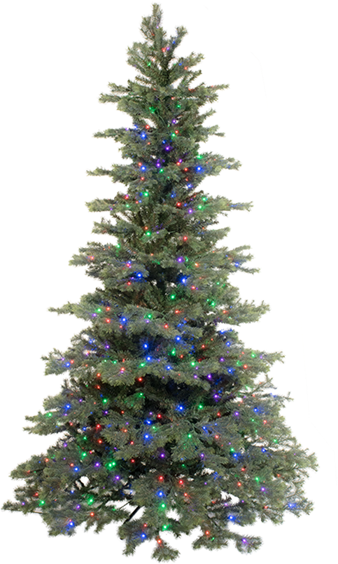 Illuminated Christmas Tree.png