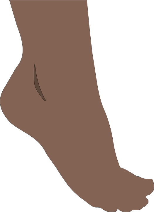 Illustrated Brown Foot Side View.png