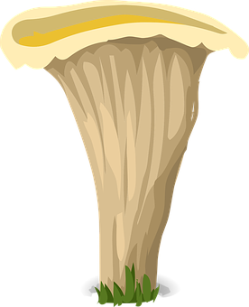 Illustrated Chanterelle Mushroom