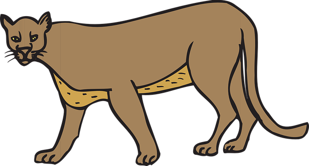 Illustrated Cougar Walking Side View