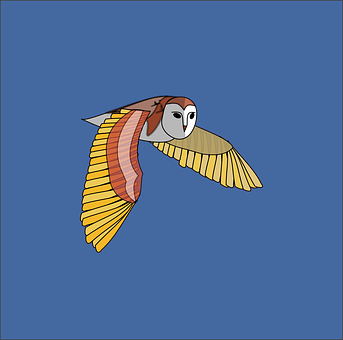 Illustrated Flying Owl Night Sky