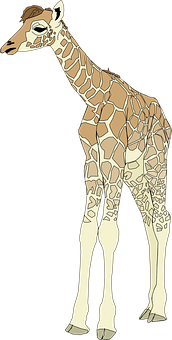 Illustrated Giraffe Standing Side View