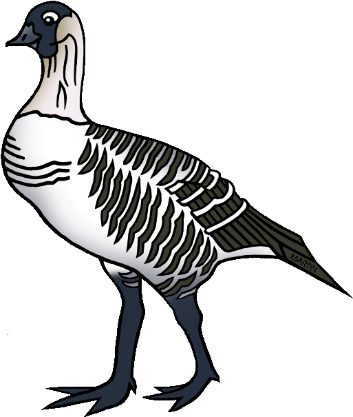 Illustrated Goose Graphic