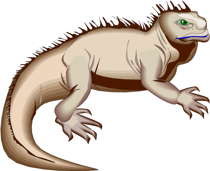 Illustrated Green Iguana.png