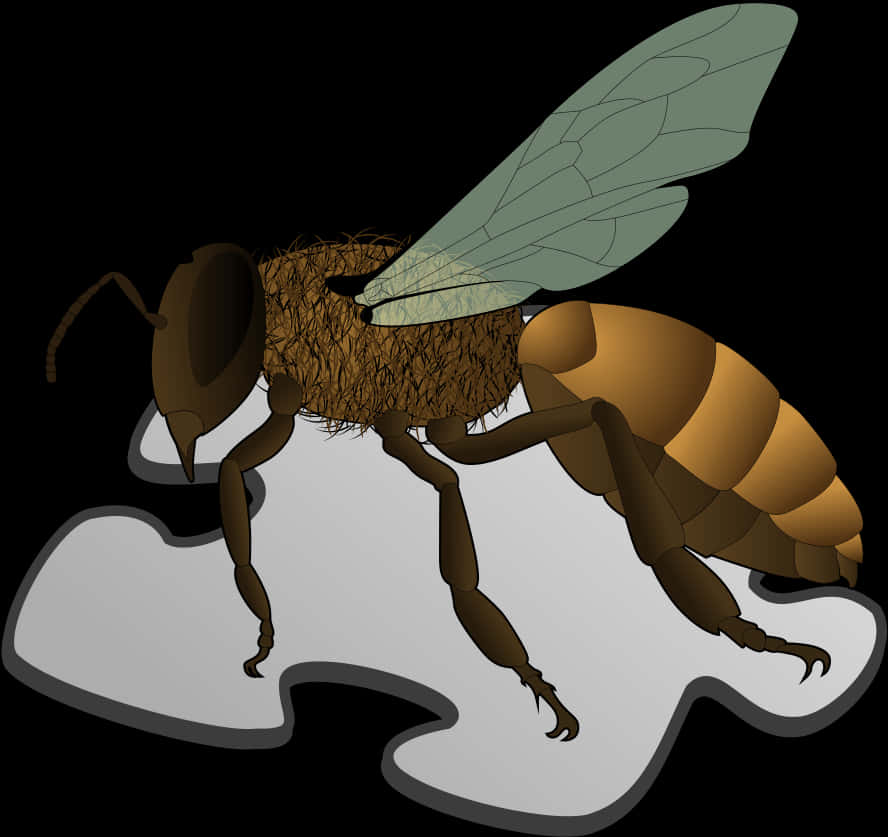 Illustrated Honey Bee Graphic