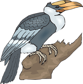 Illustrated Hornbill Perchedon Branch