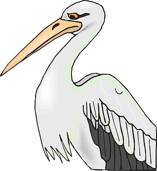 Illustrated Pelican Graphic