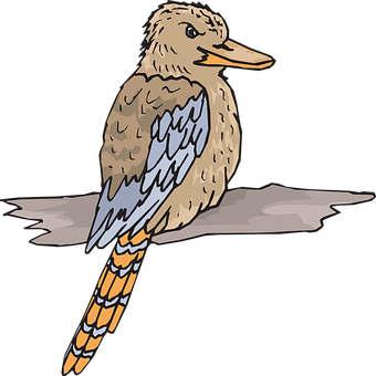 Illustrated Perched Bird