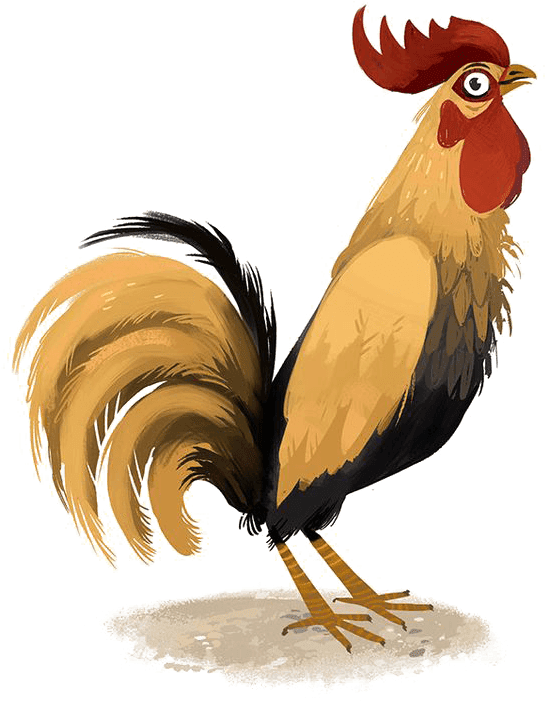Illustrated Proud Rooster.png