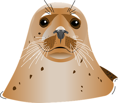 Illustrated Seal Portrait