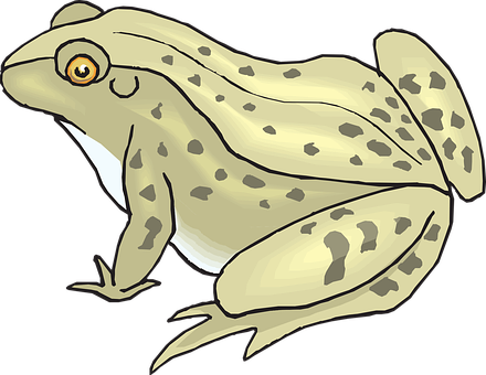 Illustrated Spotted Frog
