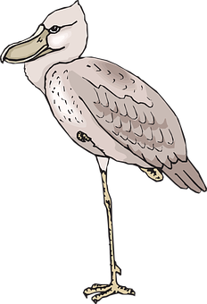 Illustrated Standing Bird