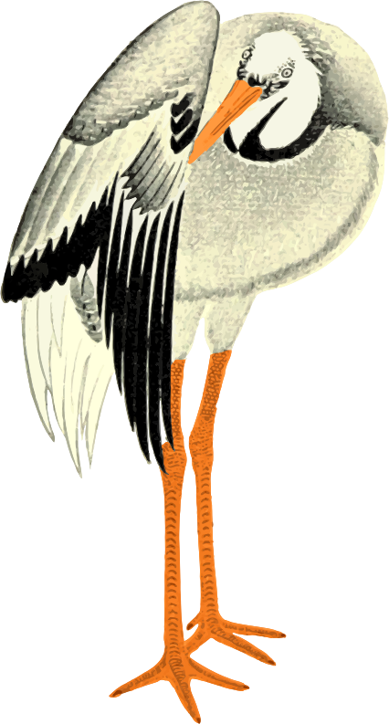 Illustrated Standing Stork