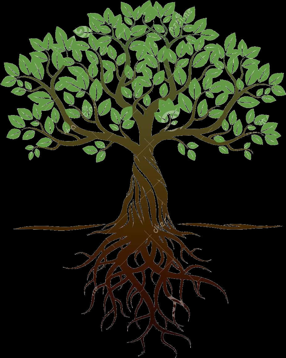Illustrated Treewith Visible Roots