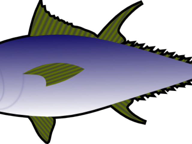 Illustrated Tuna Fish Graphic