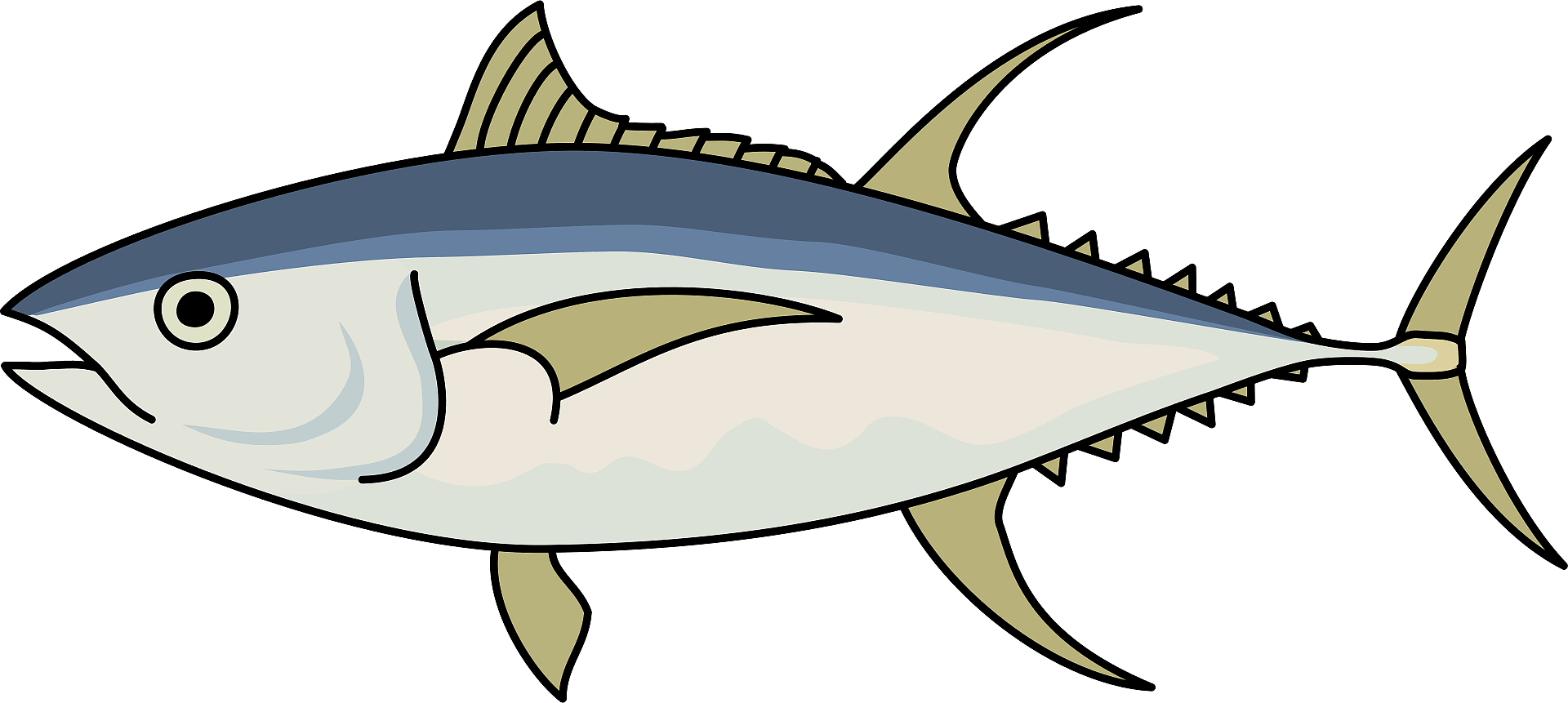 Illustrated Tuna Fish