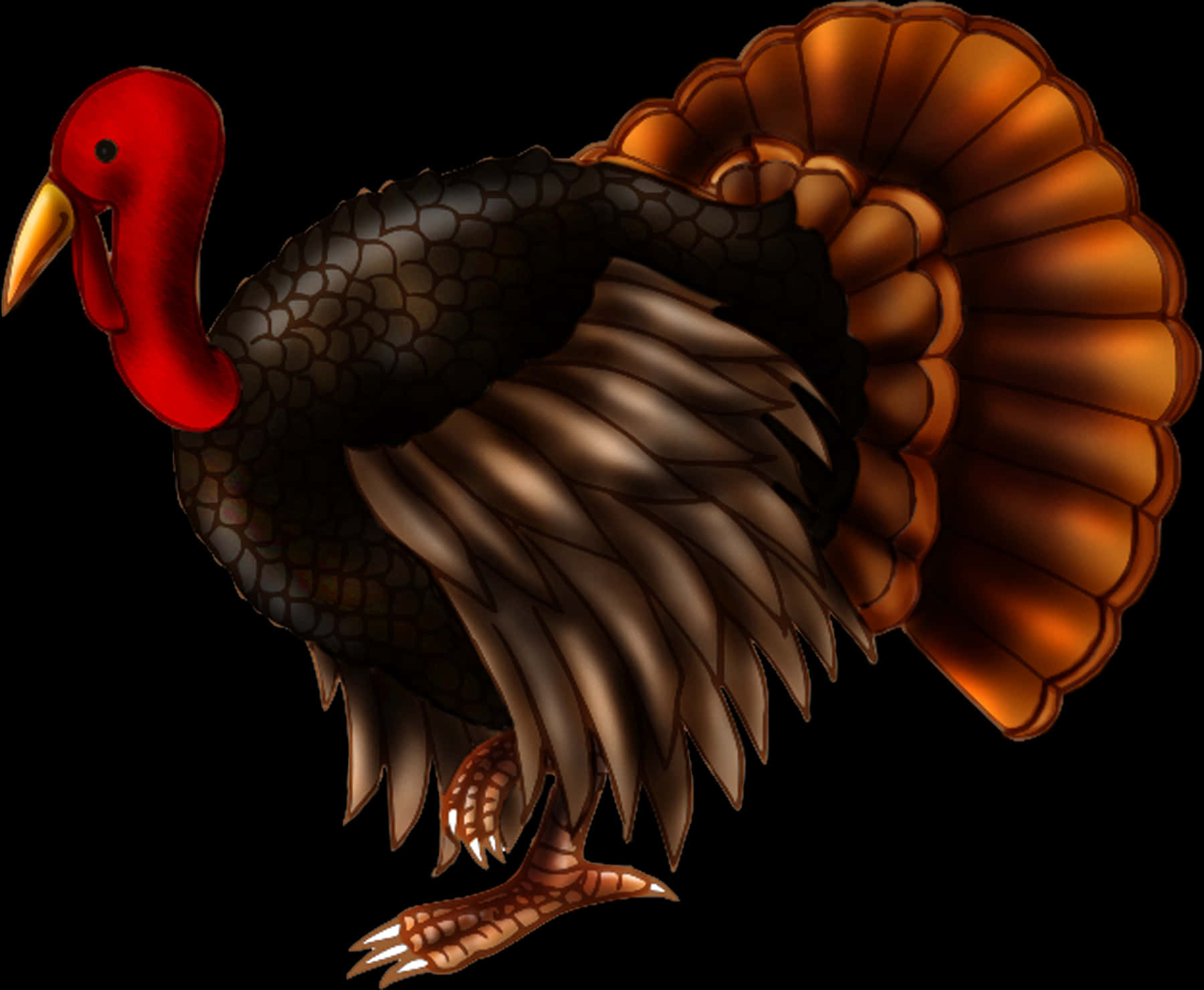 Illustrated Turkey Bird