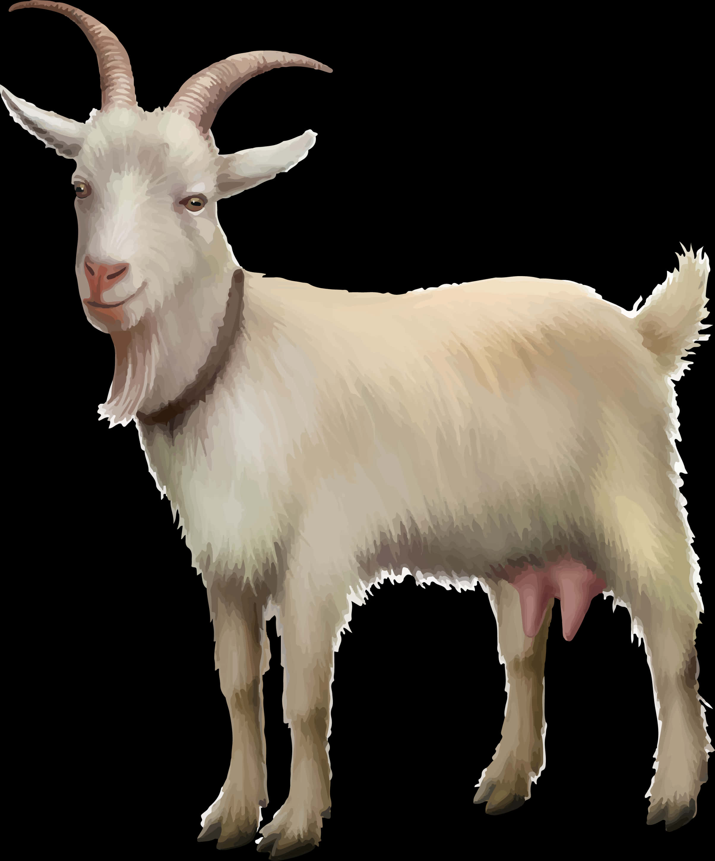 Illustrated White Goat Portrait