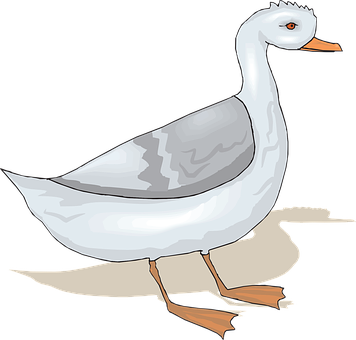 Illustrated White Goose Graphic