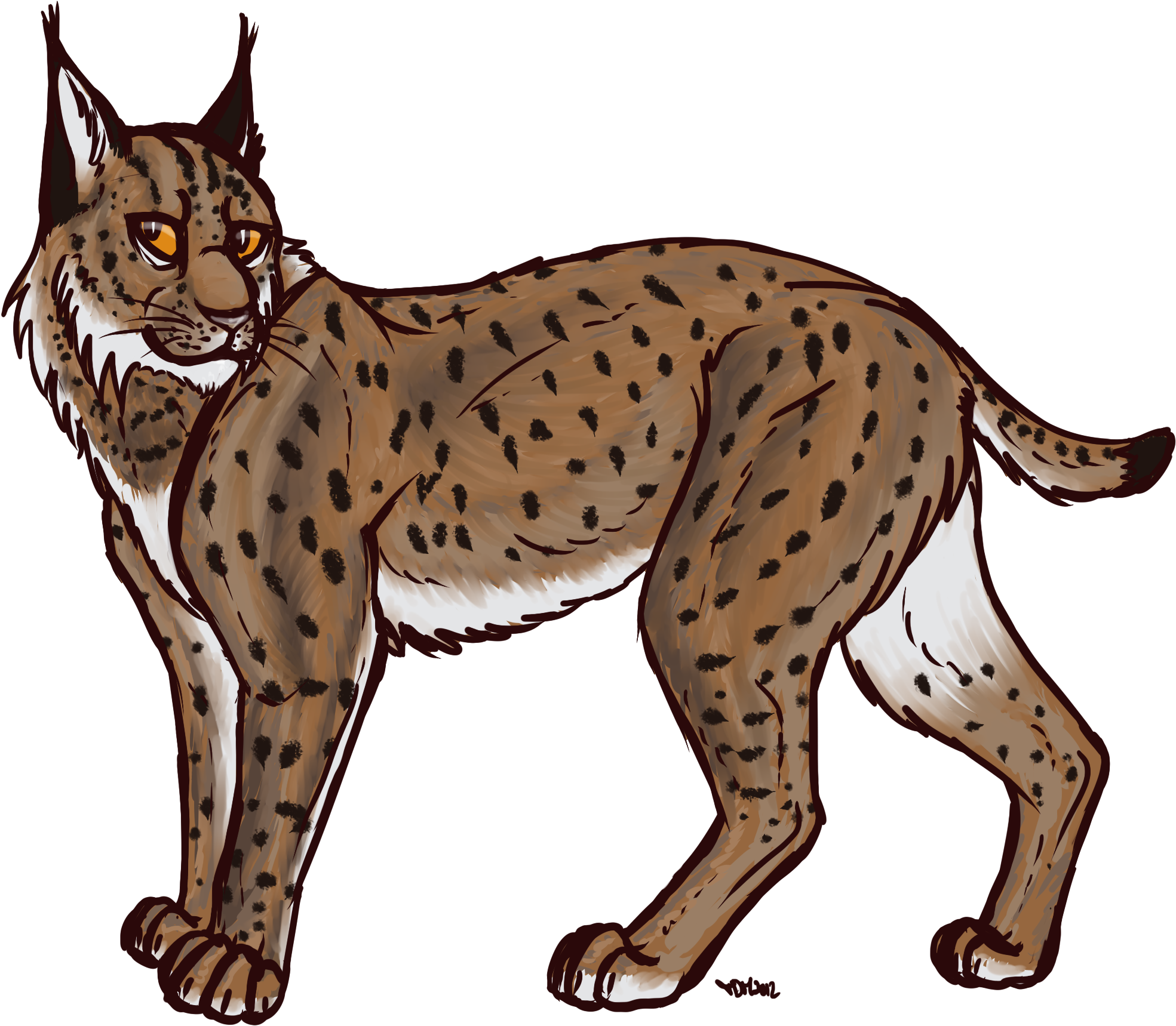 Illustrated Wild Lynx Walking