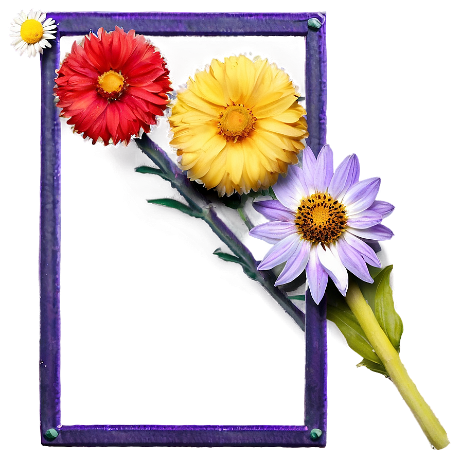 Indie Flower Frame Png 06252024