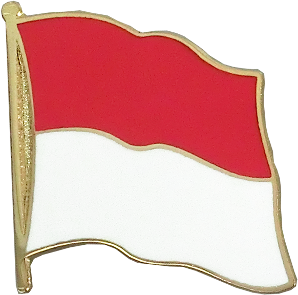 Indonesian Flag Pin Design
