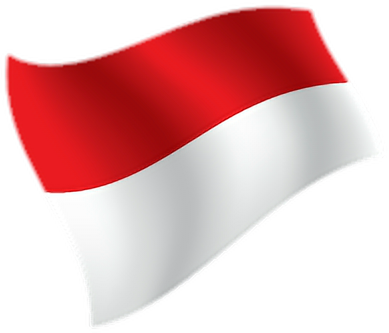 Indonesian Flag Waving