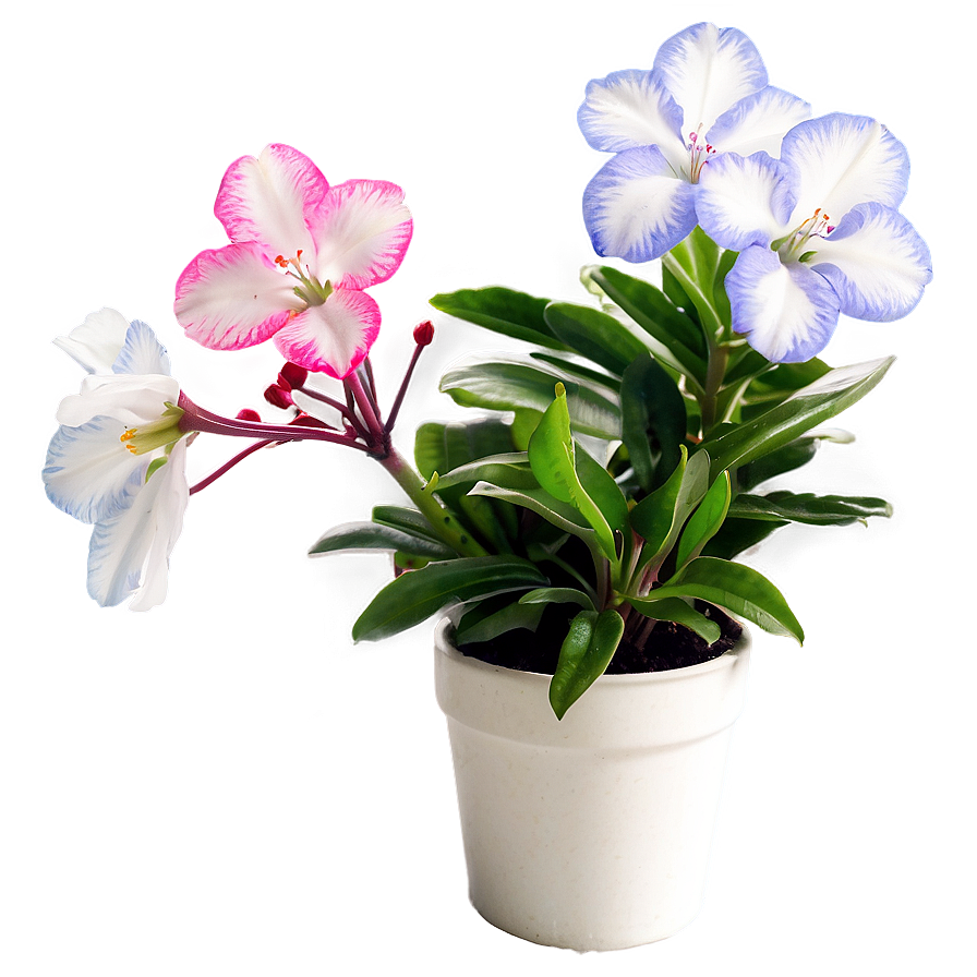 Indoor Flowering Plants Png 06252024