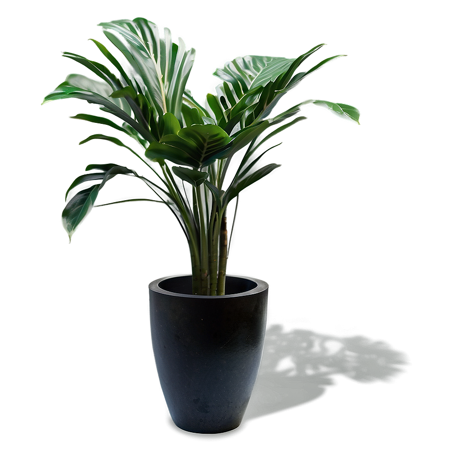 Indoor Plant Shadow Design Png Odv58