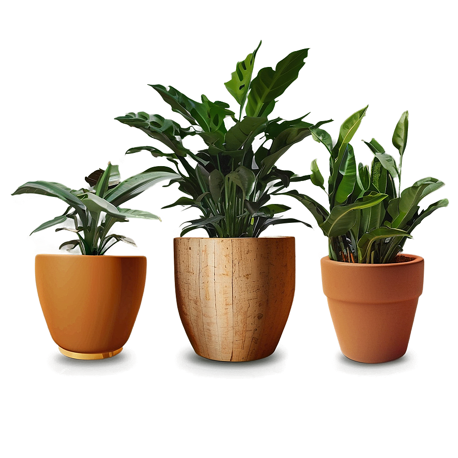 Indoor Plants In Pots Png 17