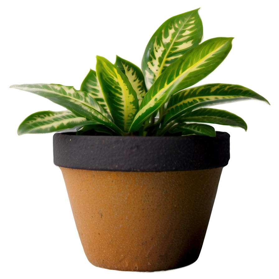 Indoor Plants In Pots Png Yqx45