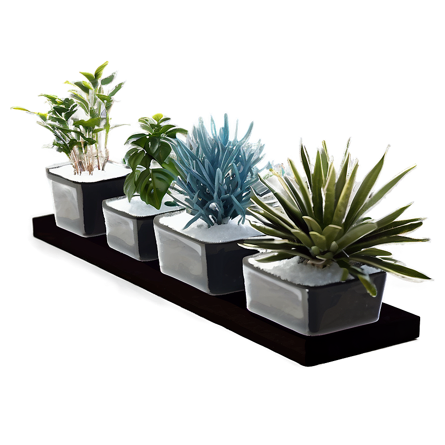 Indoor Winter Plants Png Jeo