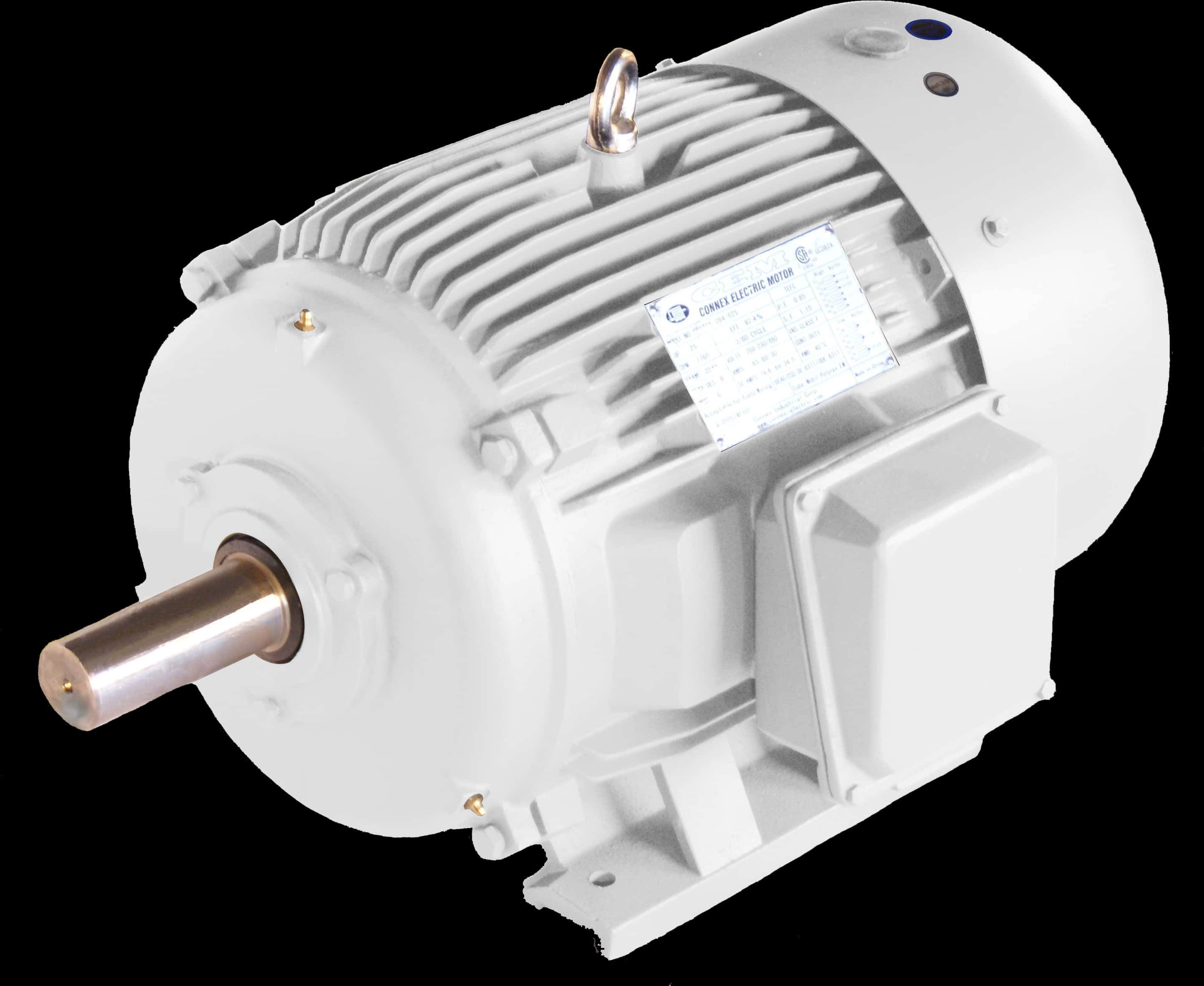 Industrial Electric Motor