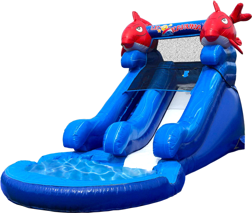 Inflatable Dolphin Water Slide