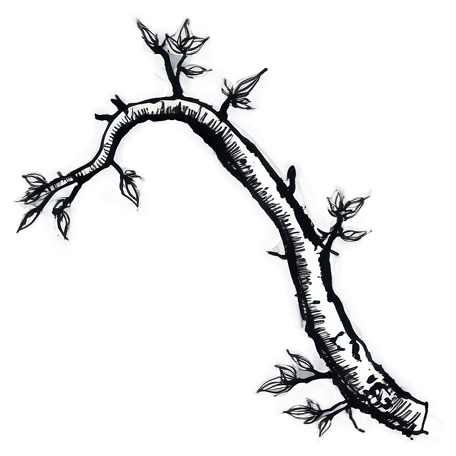 Ink Sketch Twig Png Kcc