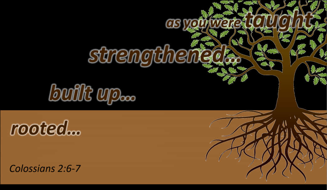 Inspirational Tree Roots Colossians Biblical Verse