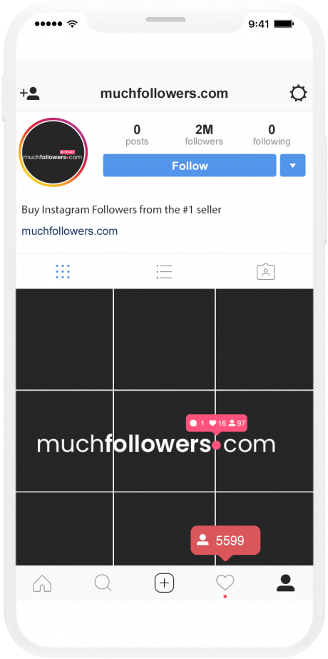 Instagram Followers Sales Pitch Screenshot