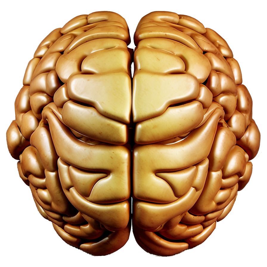 Intelligent Brain Emoji Png Flp70