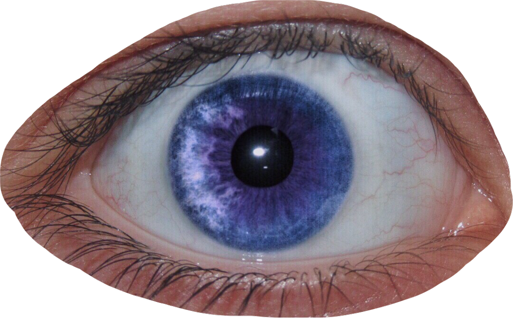 Intense_ Blue_ Eye_ Closeup.png