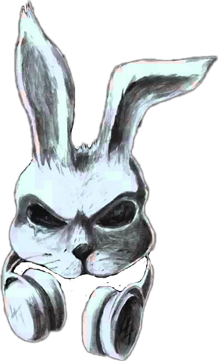 Intense_ Rabbit_ Headphones_ Artwork