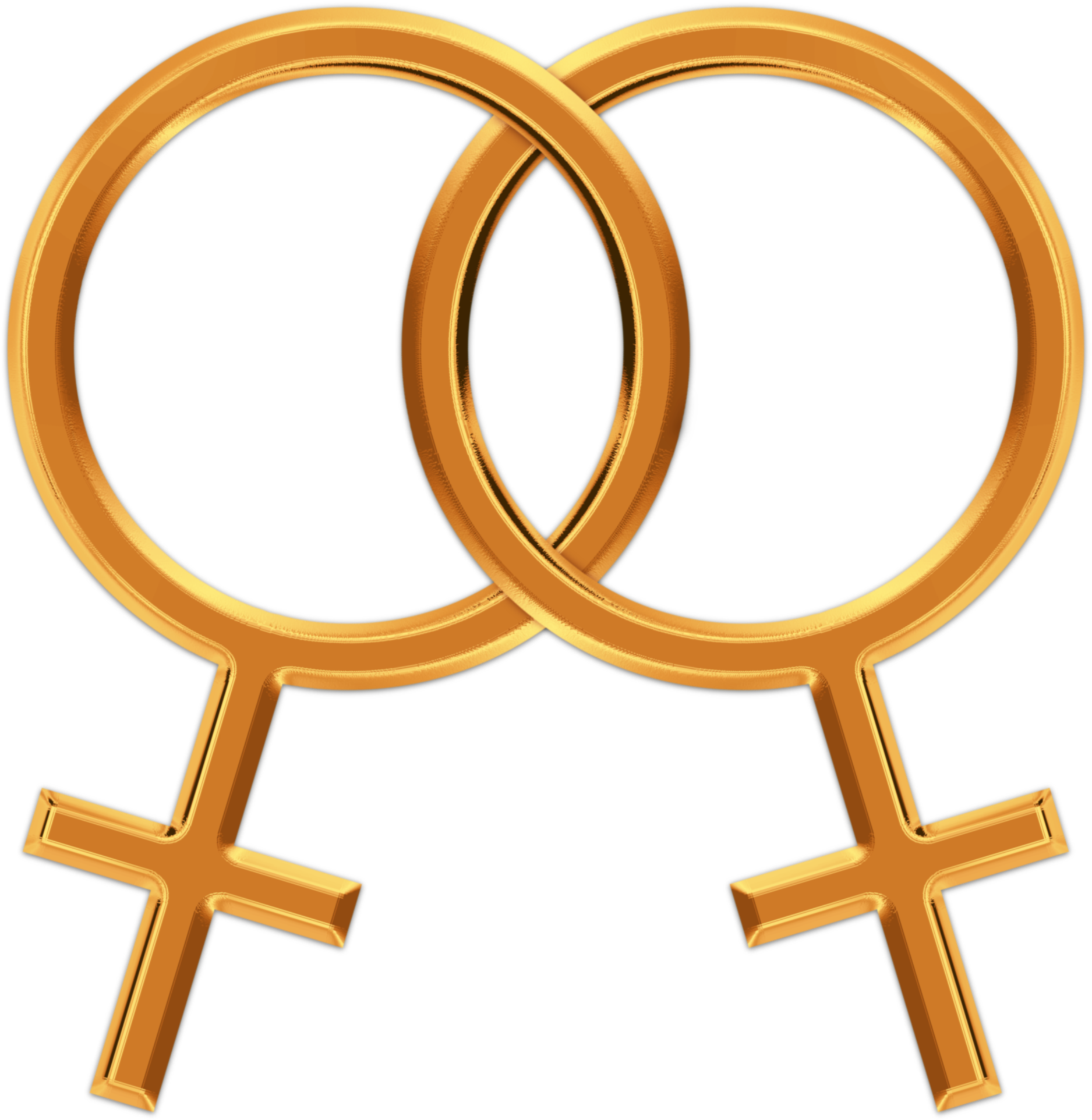 Interlocked Female Symbols Lesbian Pride