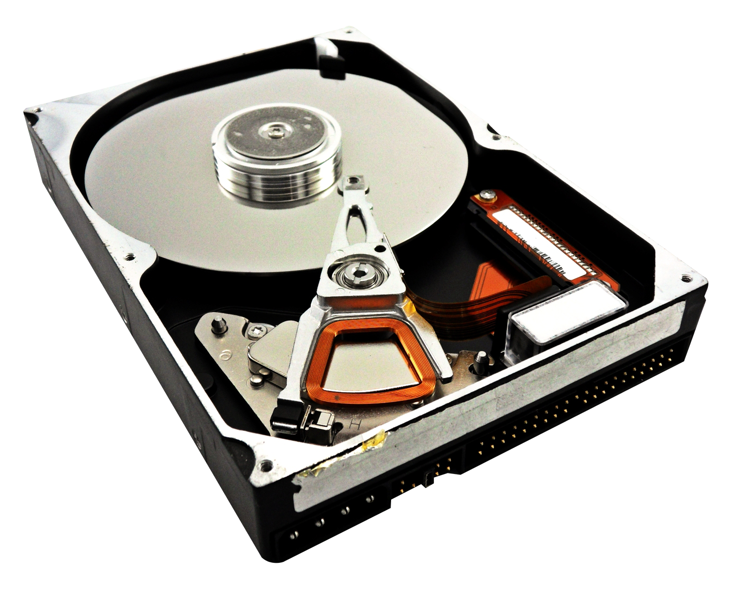 Internal Hard Drive Exposed